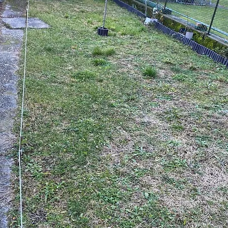 Casa Gatto Lägenhet Cannobio